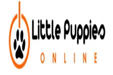 Little Puppies Online image 1