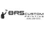 BRS Cabinet Painting logo