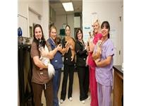 Carmel Mountain Ranch Veterinary Hospital image 3