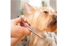 Puppy-Luv Dog Grooming Salon image 4