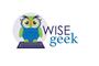 Wise Geek Marketing logo