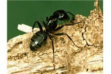 Barrier Termite & Pest Control image 1