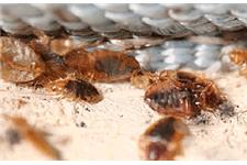 Top Termite Control Winnetka image 3