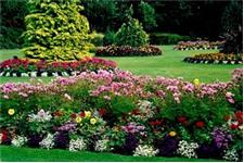 Fullerton Best Landscape & Gardening image 5