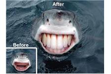 Dipp Dental Lab image 3