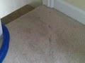 DMS Carpet & Upholstery Cleaners image 3