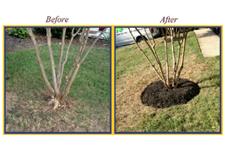 First Step Landscaping & Home Improvement image 1