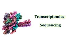 CD Genomics image 4