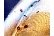 Termite Specialists of Gardena image 14