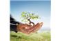 Edwards Tree & Land Clearing Services Inc logo