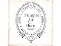 Trumpet & Horn image 1