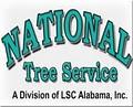 National Tree Service image 1