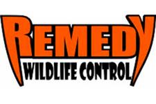 Remedy Wildlife Control image 1