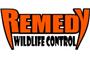 Remedy Wildlife Control logo