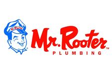 Mr. Rooter image 1