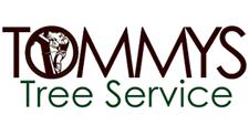 Tommy's Tree Service  image 1