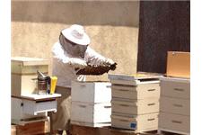 The Bee Detectives, Inc. image 6