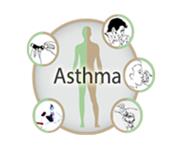 Allergy Asthma Sinusitis Medical Clinic Inc. image 1