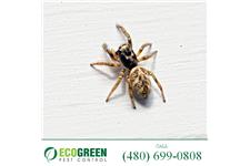 EcoGreen Pest Control image 5