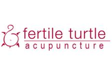 Fertile Turtle Acupuncture image 1