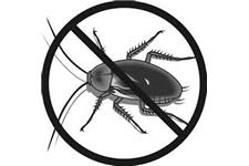 Best Pest Control of Culver City image 6