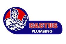 Cactus Plumbing image 1