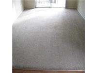 Real Deal Carpet & Upholstery Cleaning image 2