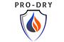 PRO-DRY Water Damage Restoration logo