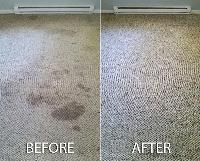Today’s Carpet Care image 3