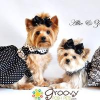 Groovy Posh Pets: Get groovy pet products image 4