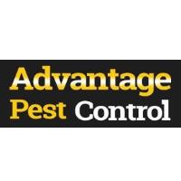 Advantage Pest Control image 2