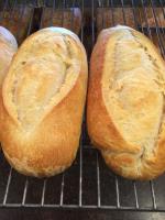 Great Harvest Bread of Lehi image 15