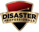 Disaster Professionals logo