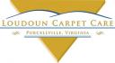 Loudoun Valley Floors logo