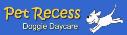 Pet Recess Inc logo