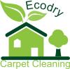 Ecodry Carpet Cleaning New York image 1