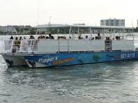Dolphin Cruise in Destin, Florida, LLC image 1