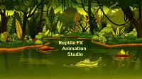 Reptile FX Animation Studio image 10
