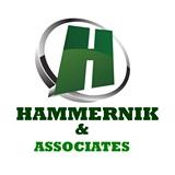 Hammernik Associates image 1