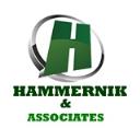Hammernik Associates logo