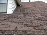 Dallas Roofing Experts image 1