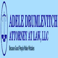 Adele Drumlevitch Attorney At Law, LLC image 1