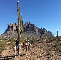 Superstition Trail Rides image 1