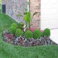 All Seasons Landscaping Services image 5