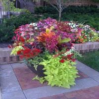 All Seasons Landscaping Services image 6