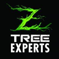 Z Tree Experts image 3