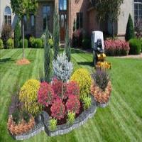 All Seasons Landscaping Services image 11