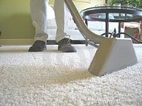 Extremely Professional Carpet Cleaners image 3