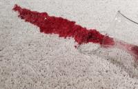 Service PLUS Carpet Cleaning and Restoration image 2