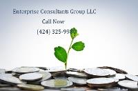 Enterprise Consultants Group LLC image 1